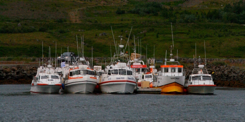 Iceland ProTravel