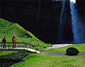 Guided tours
