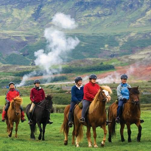 Horses and Hot Springs Horse Riding