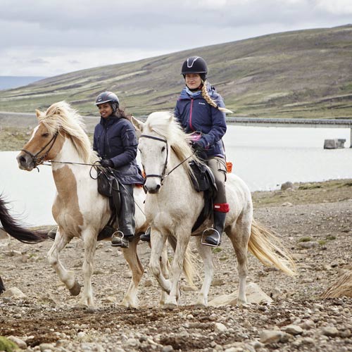 Riding Icelanic Horses© Islandshestar
