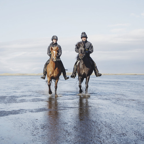 Riding Icelandic Horses© Islandshestar