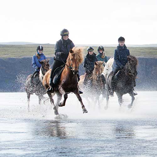 Trail og Hope Icelandic Horses ©Islandshestar