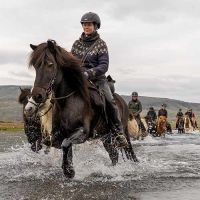 Icelandic Horses ©Eldhestar