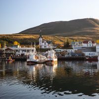 Harbour of Husavik