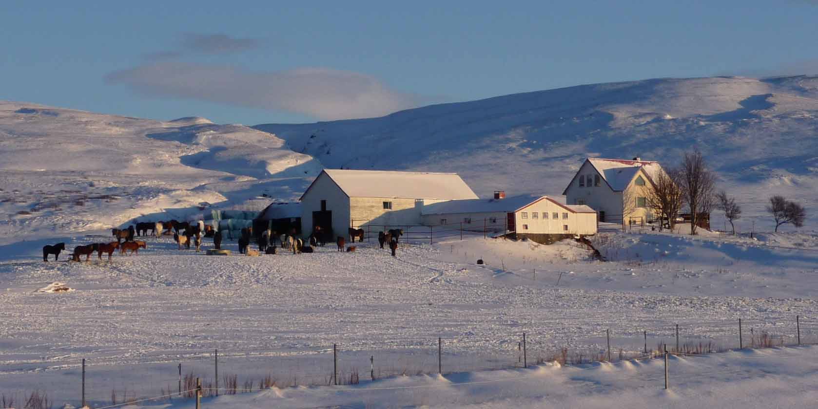 Iceland ProTravel